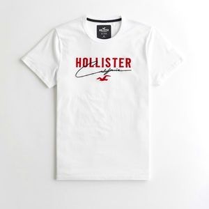 Hollister t shirt best gift Logo graphics